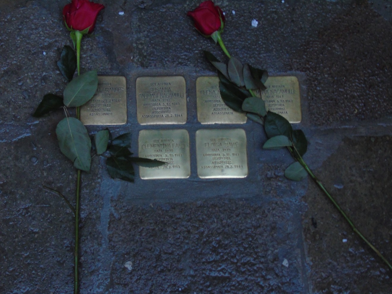 Pietre d'inciampo a Brandes dedicate alla famiglia Nacamulli, con rose rosse posate sopra.