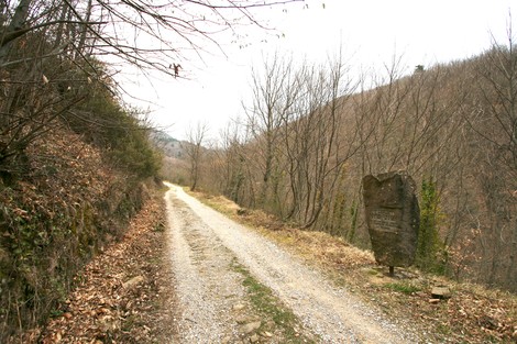 Sentiero che conduce al Monumento a Cuccoli, immerso nella natura e circondato da alberi spogli.