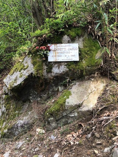 Lapide dedicata a Carlo Balzaretti, situata in un contesto naturale, circondata da verde.