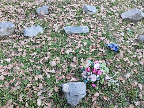 Monumento ai caduti con lapidi e fiori, circondato da foglie secche in un contesto di memoria e rispetto.