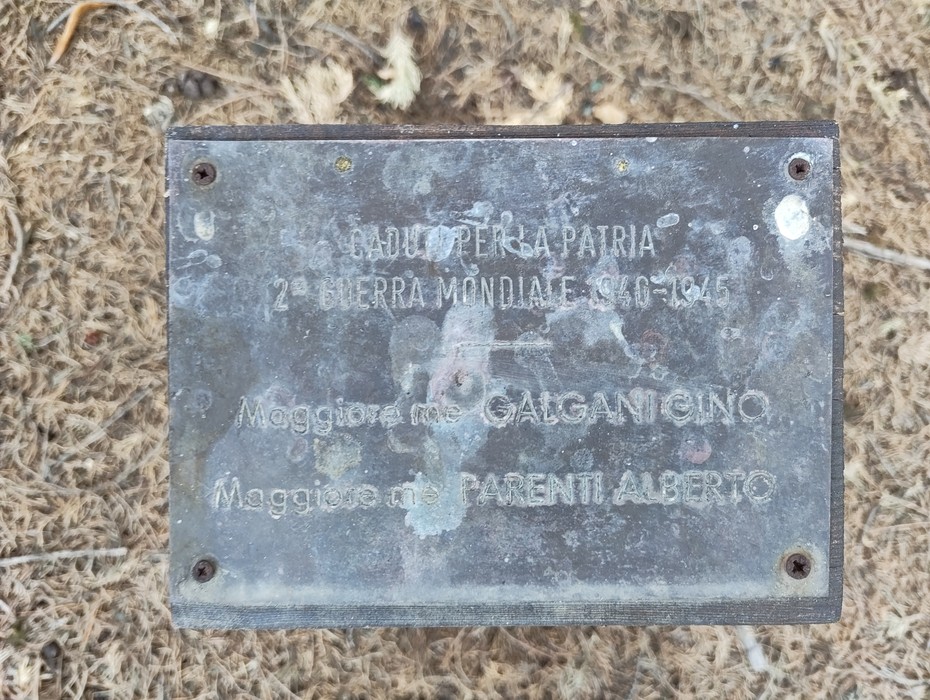 Parco della Rimembranza della Croce Rossa, Comune di Firenze (FI), foto 2
