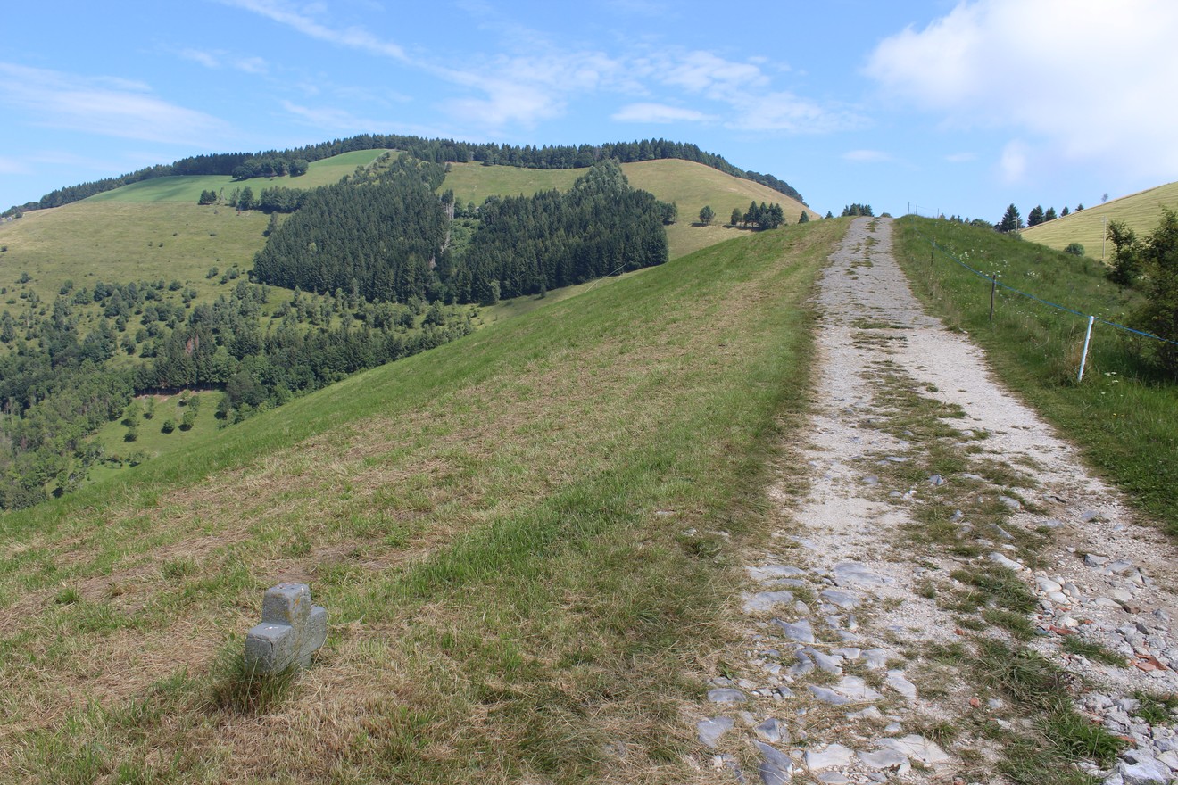 Percorso in un paesaggio collinare, con una croce visibile lungo il sentiero e verdeggianti montagne sullo sfondo.