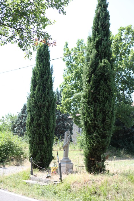 Cippo commemorativo circondato da alti cipressi in un'area verde e naturale.