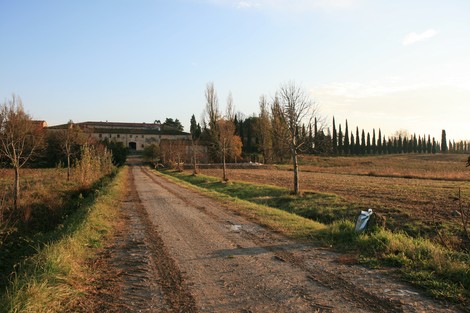 Strada sterrata in campagna, con cipressi e un edificio rurale sullo sfondo, immerso nella natura.