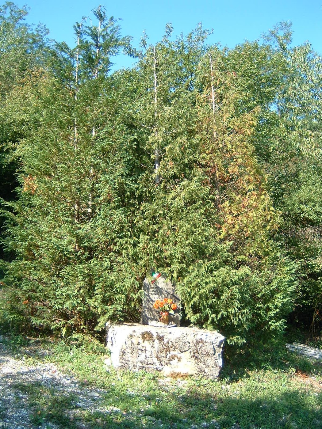 Monumento a Mannelli, immerso nella vegetazione, con pietra e fiori in un contesto naturale suggestivo.