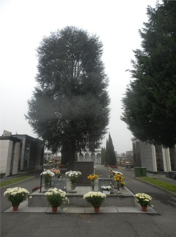 Sacrario dei partigiani di Cappuccini, un luogo di memoria e commemorazione immerso nel verde.