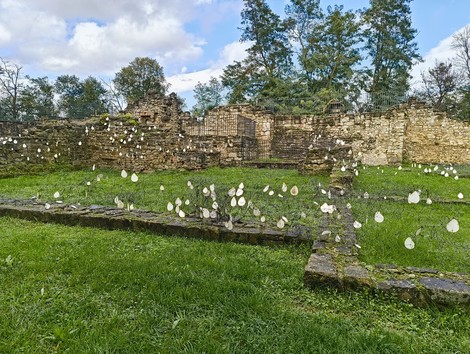 Rovine di San Martino immerse nel verde, testimoni di un passato storico affascinante.