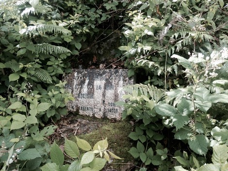 Cippo memoriale dedicato ai fucilati di Leggeri, immerso nella vegetazione.