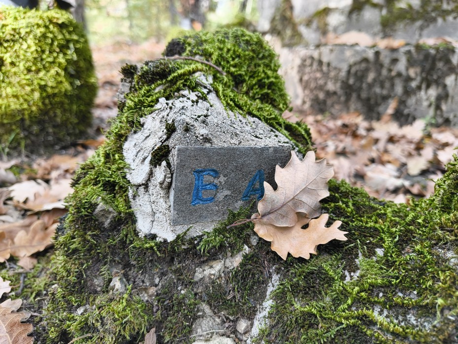 Monumento ai caduti di Ca' Boschetto, incastonato nella natura, circondato da foglie e muschio.