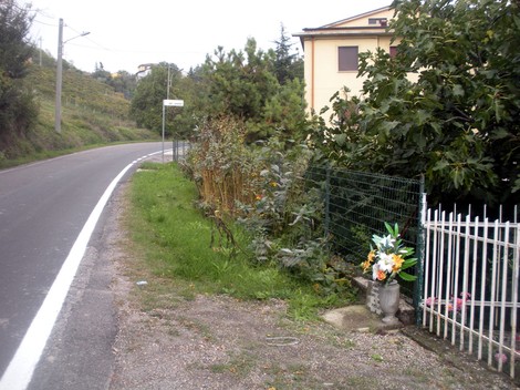 Lapide commemorativa a Codognelli, situata lungo una strada immersa nella natura.