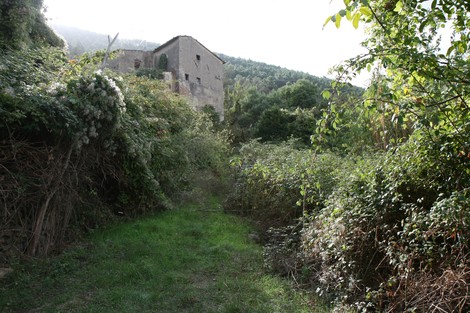 L'intera scena mostra un sentiero verde circondato da vegetazione, con un antico edificio in lontananza.