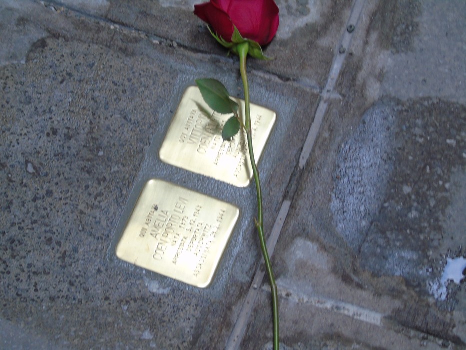 Pietre d'inciampo dedicate ai fratelli Coen con una rosa rossa accanto, simbolo di memoria e commemorazione.