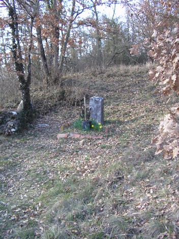 Cippo a Mori in un ambiente naturale, circondato da alberi e foglie secche, con un piccolo vaso floreale.
