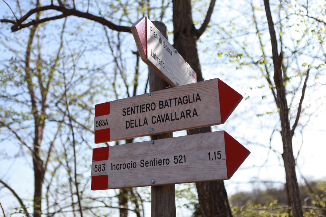 Indicazioni del "Sentiero Battaglia della Cavallara" con frecce su un palo di legno tra gli alberi.