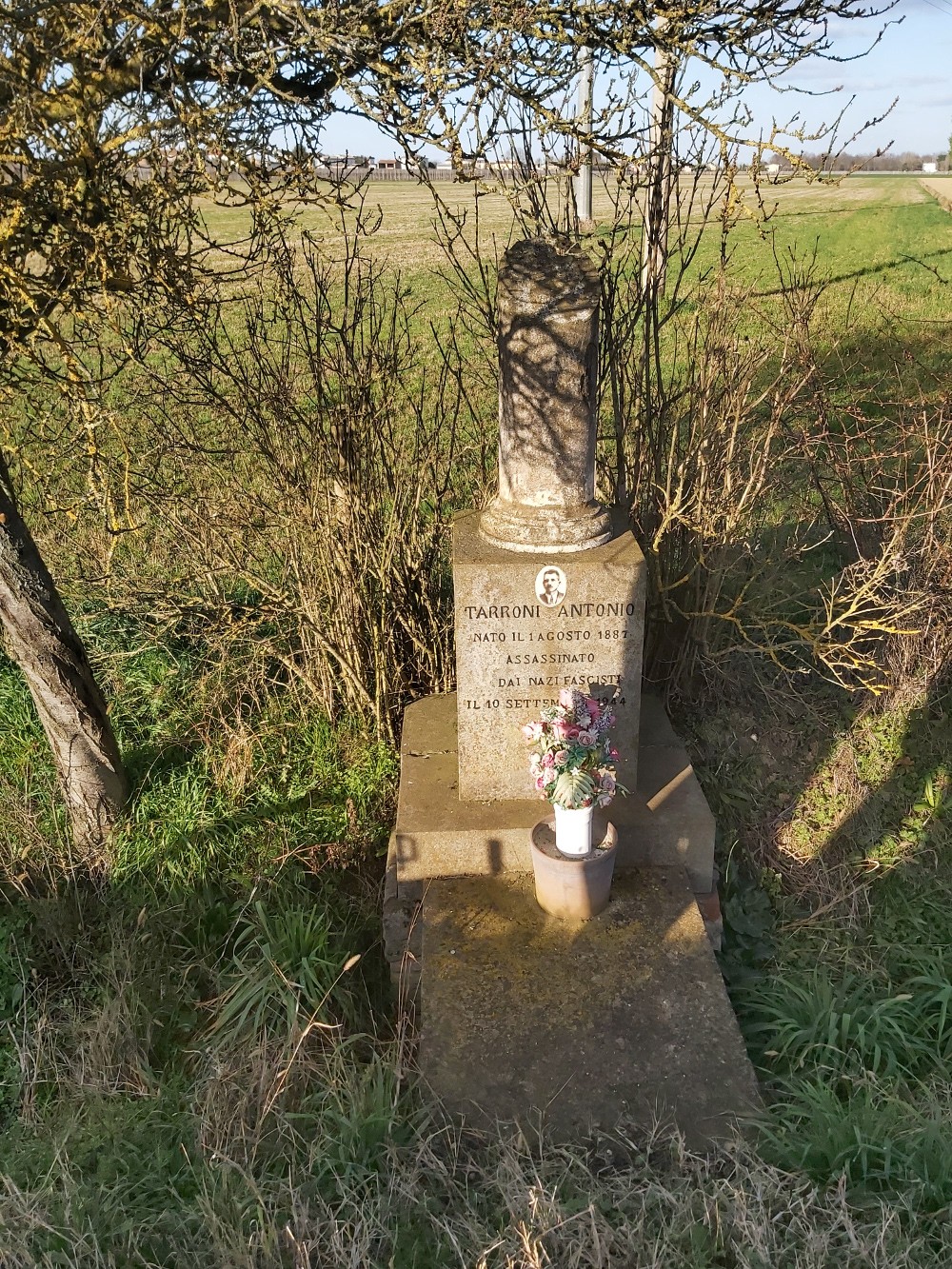 Cippo commemorativo dedicato a Tarroni, situato in un'area verde tranquilla, con fiori e vegetazione circostante.