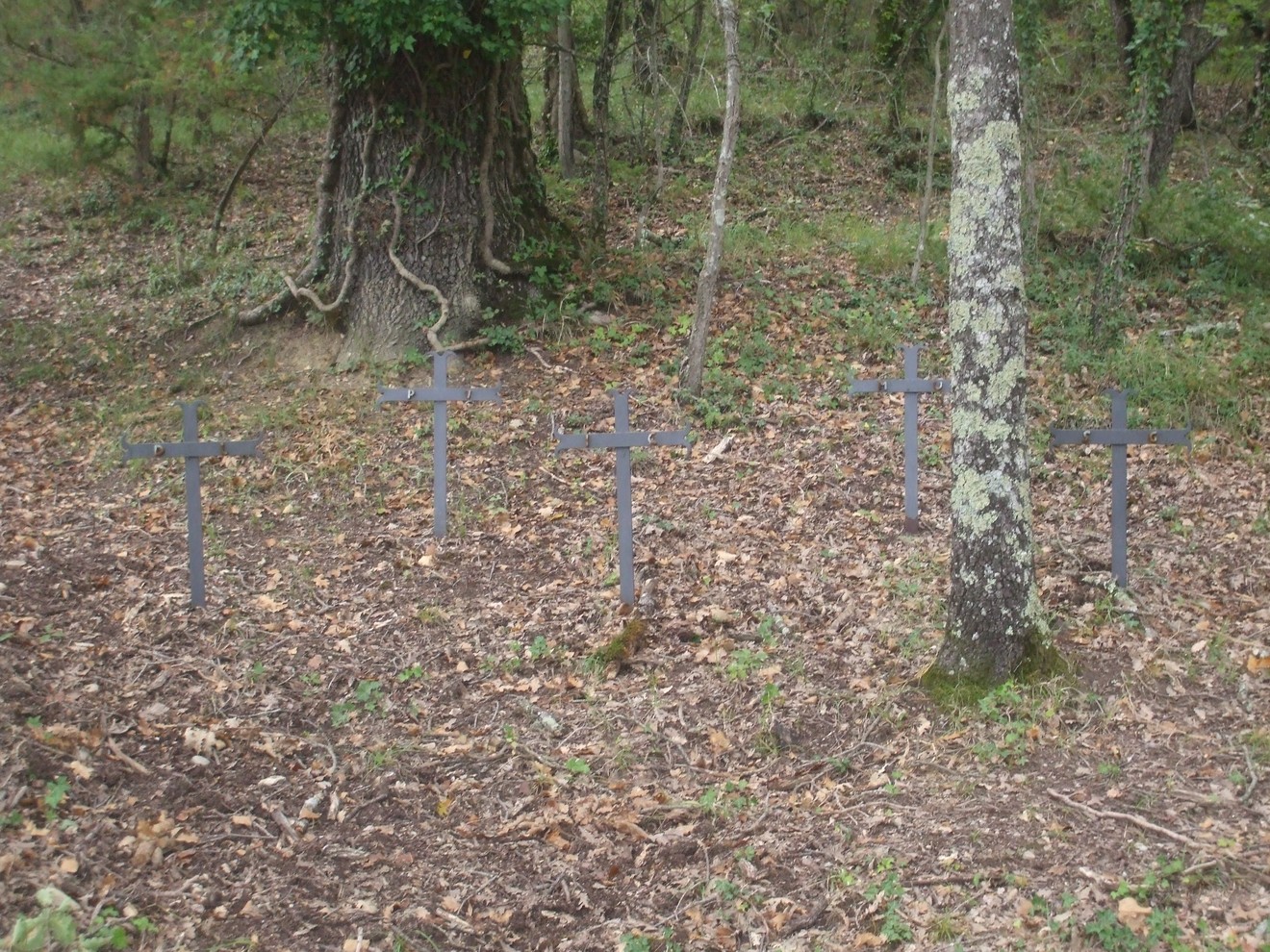 Croci commemorative dei caduti nel podere La Casella, immerse nella natura silenziosa.