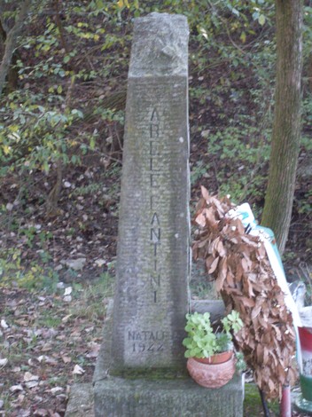Monumento commemorativo a Simonini, con iscrizioni e decorazioni floreali, immerso nella natura.