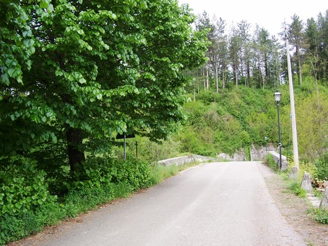 Viale alberato che conduce al cippo a Santini, circondato da vegetazione lussureggiante e colline verdi.