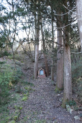 Sentiero nel bosco che conduce al monumento dedicato ai caduti del bombardamento, circondato da alberi.