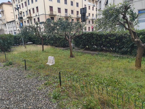Giardino dei Giusti con alberi e prato, in un contesto urbano tranquillo e meditativo.