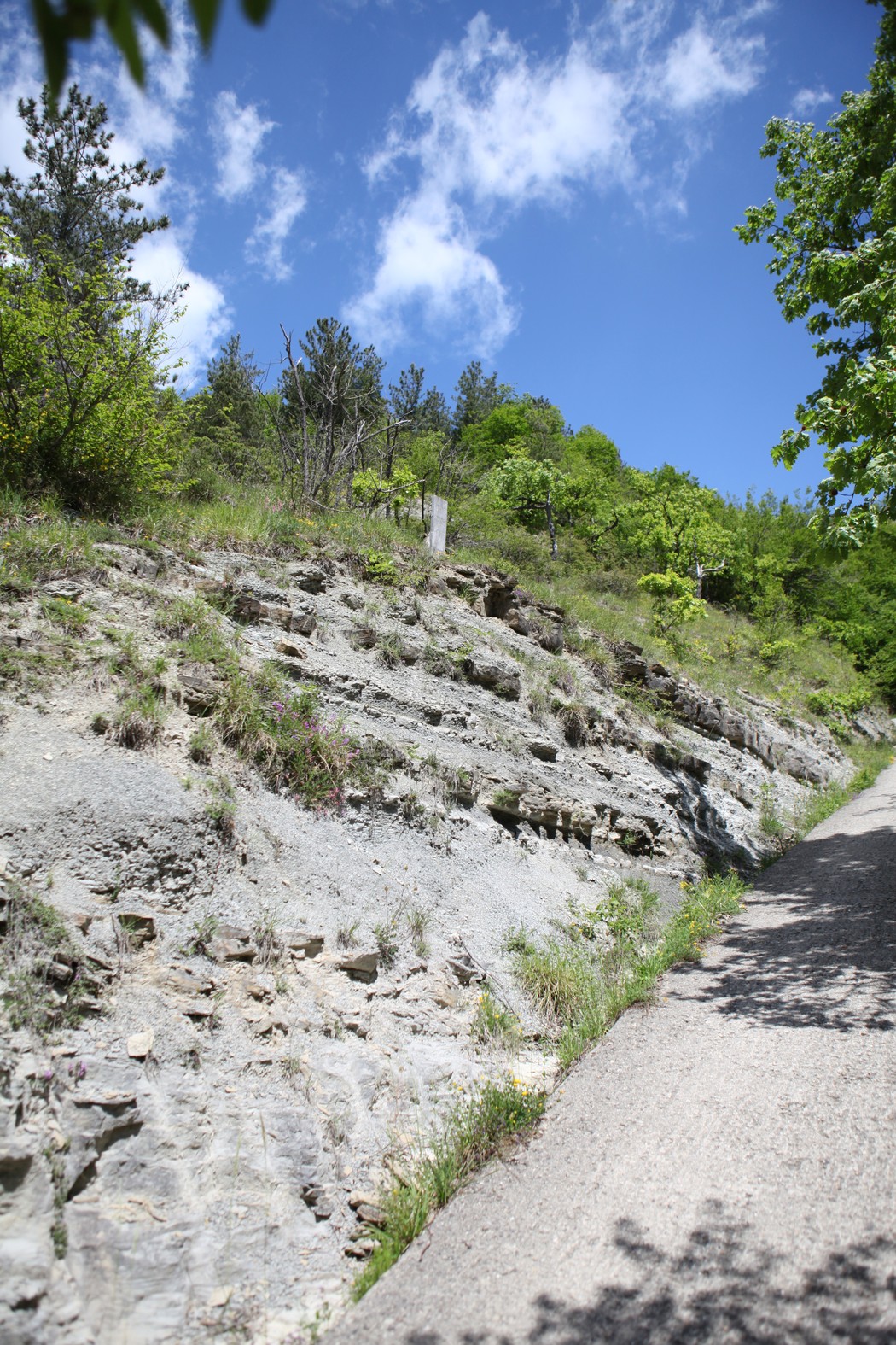 Vecchia lapide su un costone roccioso, immersa nel verde di un paesaggio naturale e sereno.