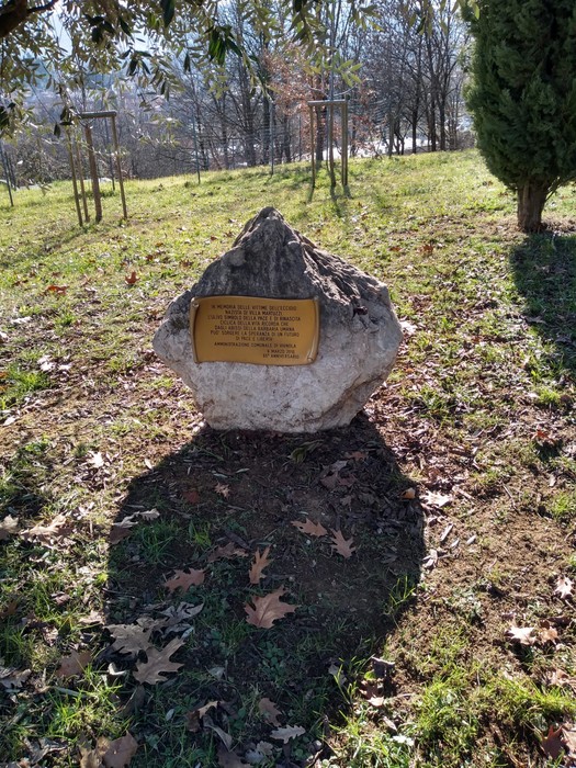 Ulivo in memoria dell'eccidio di Villa Martuzzi, circondato da un prato verde e alberi.