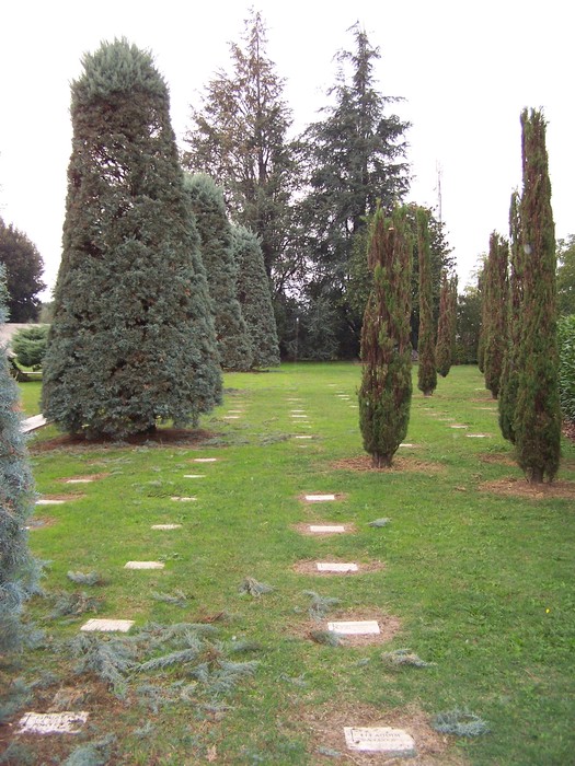 Sacrario dell'esercito brasiliano: un luogo di commemorazione immerso nel verde, con alberi e lapidi.