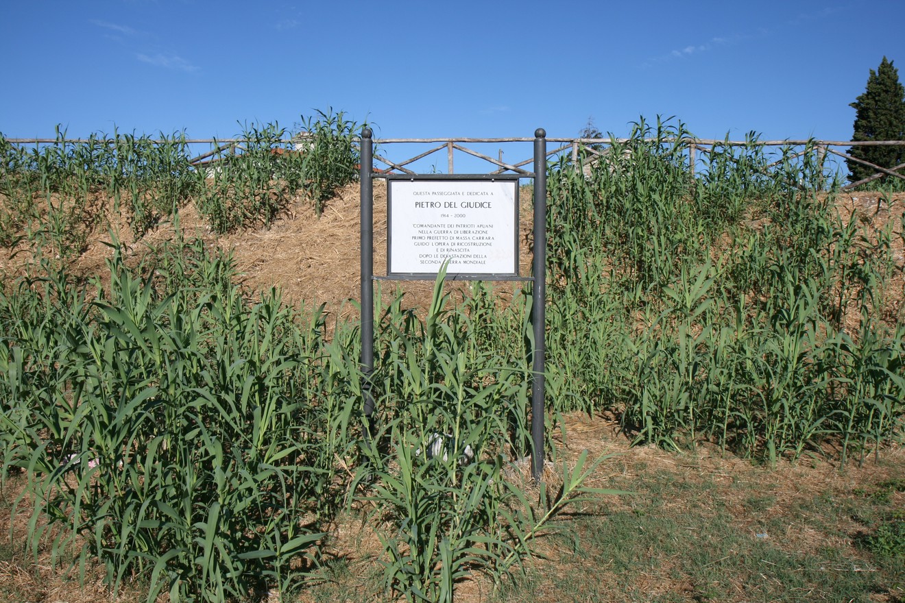 Dedica a Pietro Del Giudice, circondata da vegetazione, sotto un cielo luminoso. Un tributo alla memoria.