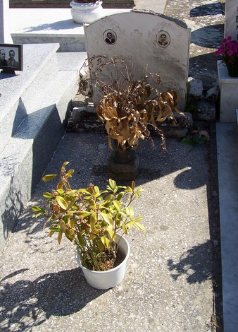 Tombe di caduti civili a Partina, con fiori appassiti e uno in salute, in un cimitero tranquillo.