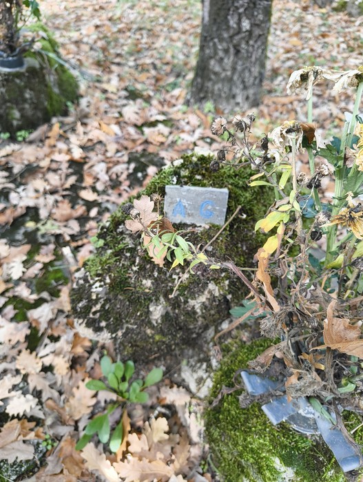 Monumento ai caduti di Ca' Boschetto, immerso nella natura, tra foglie e muschio. Riconoscimento e memoria storica.