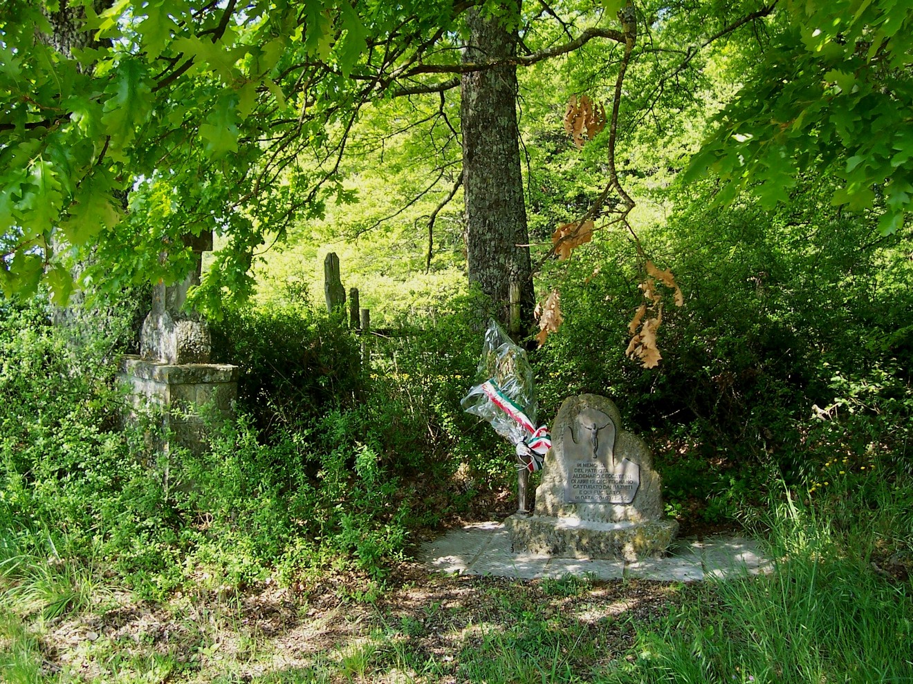 Monumento a Ceccattini immerso nella vegetazione, circondato da alberi e un'atmosfera di quiete.
