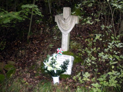 Cippo commemorativo immerso nella vegetazione, adornato con fiori e offrendo un tributo alla memoria.