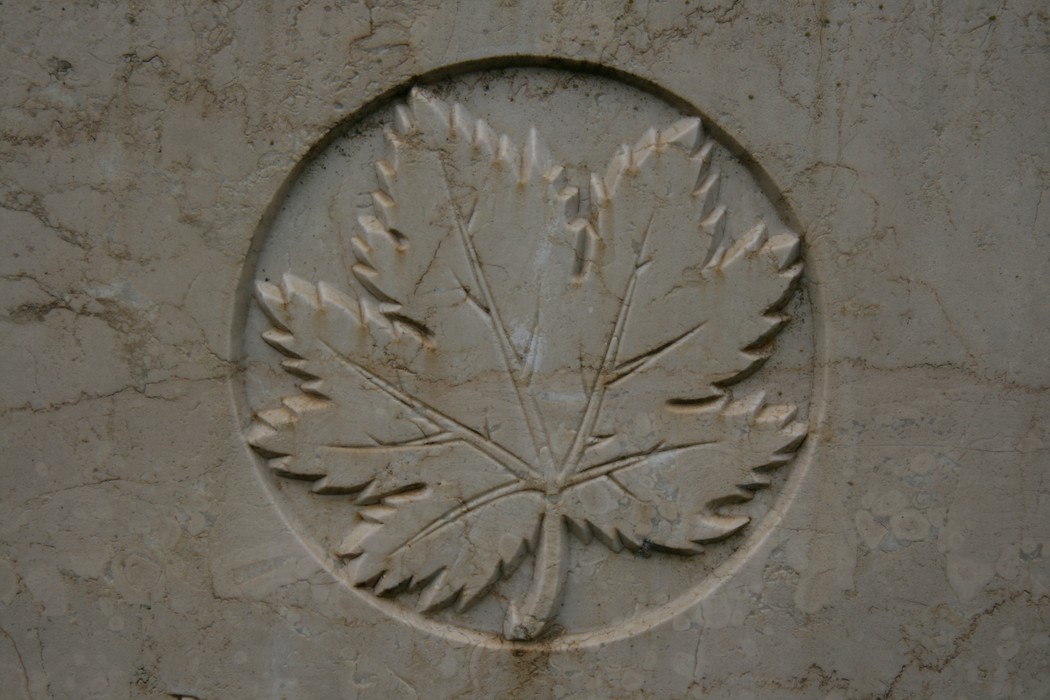 Scultura di una foglia su un monumento nel cimitero di guerra di Arezzo, dedicato ai soldati caduti.