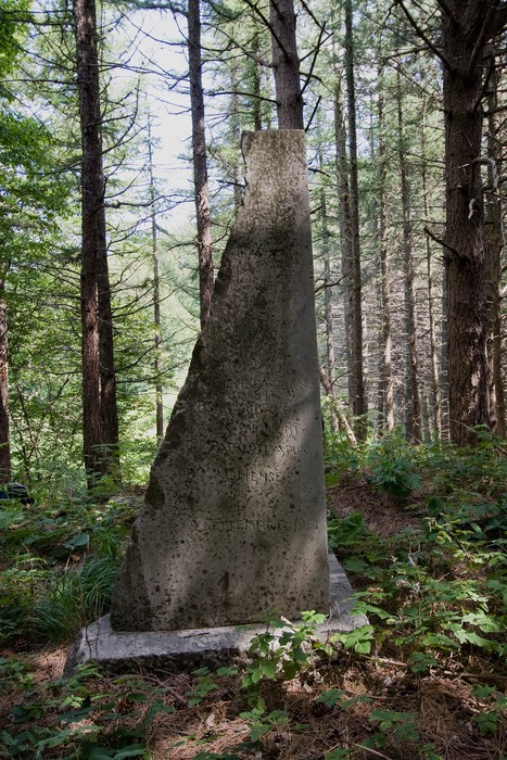 Monumento della Divisione Apuana, una stele in pietra immersa nel bosco, simbolo di commemorazione storica.