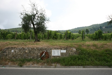 Lapide commemorativa dedicata ai caduti inglesi, immersa in un paesaggio di vigneti.