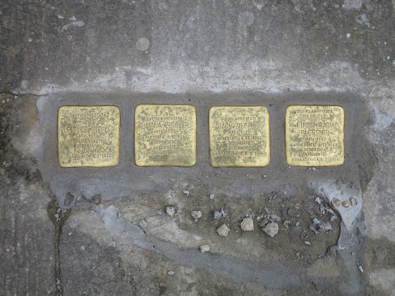 Pietre d'inciampo commemorative dedicate a Ziegler e Plessner, simbolo di memoria e riflessione storica.