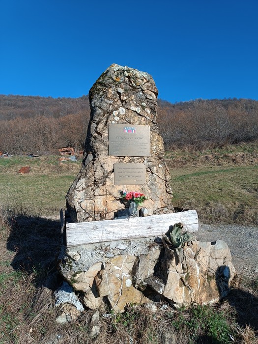 Cippo commemorativo a De Palo, con fiori e dedica, immerso in un paesaggio naturale.