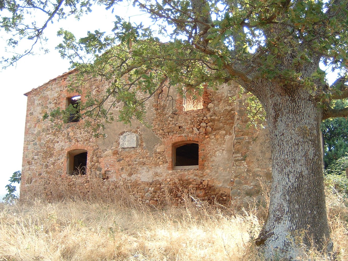 Rudere in pietra immerso nella natura, circondato da erba secca e un albero, evocando una storia passata.