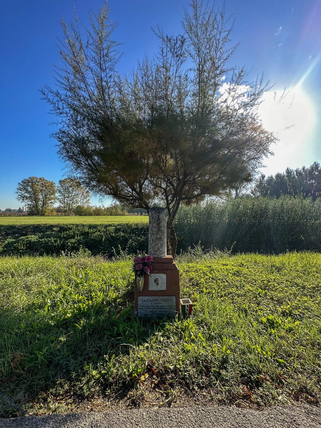 Cippo commemorativo a Gasparini, immerso nella natura, con un albero e un aiuola decorativa.