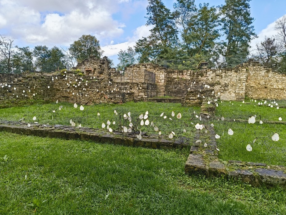Rovine di San Martino immerse nel verde, testimoni di un passato storico affascinante.