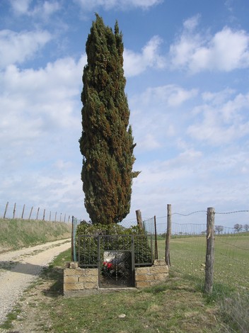 Cippo a Cappelli circondato da un’area verde, con un imponente cipresso e un sentiero accanto.