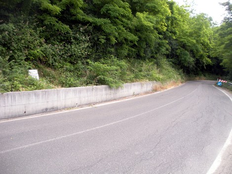 Cippo a Martini su un curvone stradale, circondato da vegetazione e in prossimità di un muro di contenimento.
