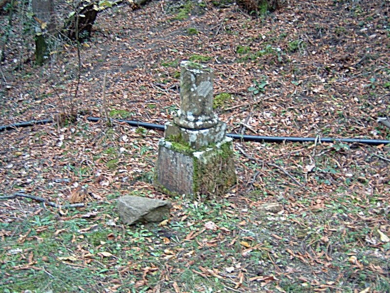 Cippo di Panzalla, un antico monumento immerso nella vegetazione, testimone di storie e tradizioni locali.