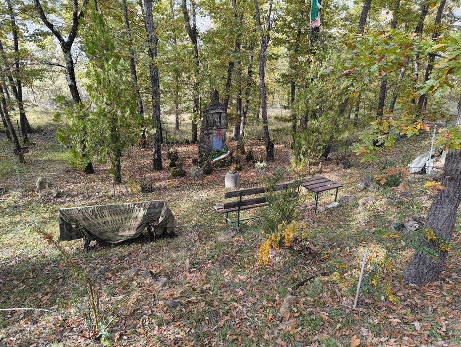 Monumento ai caduti di Ca' Boschetto, immerso nel verde, circondato da alberi e piante, in un'atmosfera di solennità.