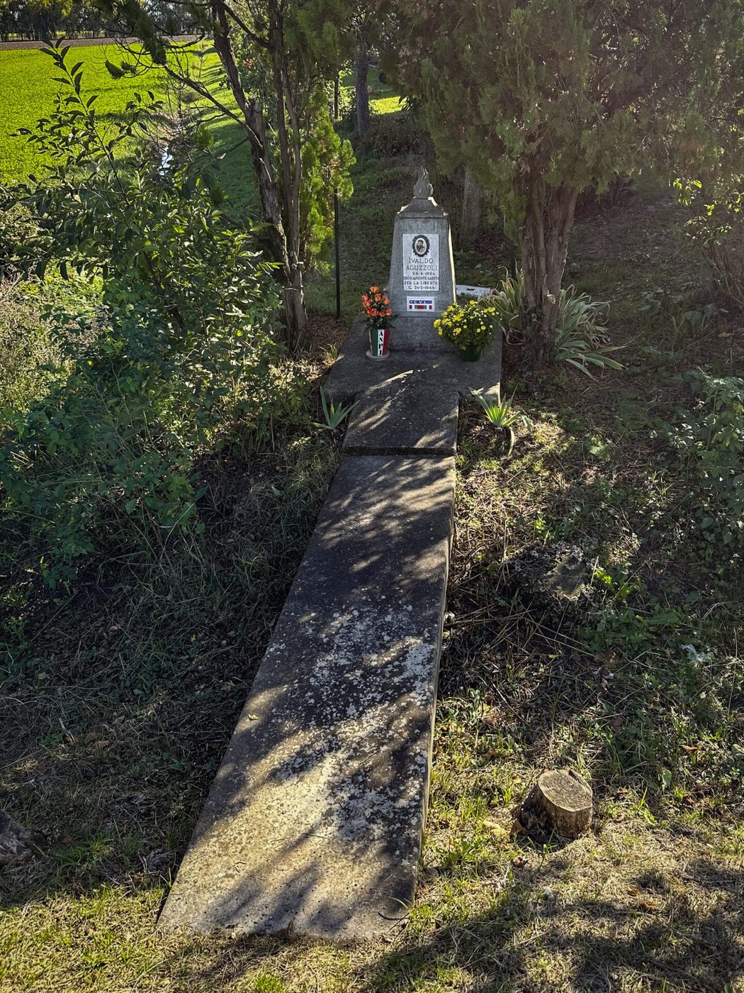 Cippo commemorativo ad Aguzzoli, circondato da vegetazione con fiori e adornamenti.