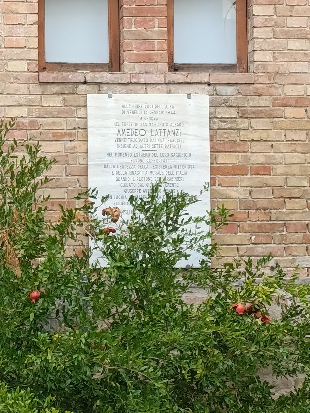 Lapide commemorativa in pietra dedicata a Amedeo Lattanzi, circondata da vegetazione e melograni.